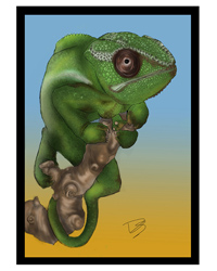 Picture of Creative Chameleon Greetings Card Chameleon