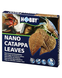 Picture of Hobby Catappa Leaves Pack of 12