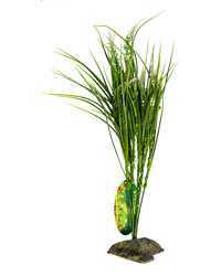 Picture of Lucky Reptile Mediterranian Grass 40cm