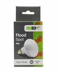 Picture of Pro Rep Flood Lamp 60w ES