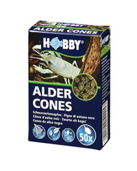 Picture of Hobby Alder Cones 