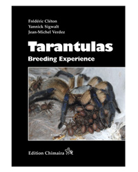 Picture of Chimaira Tarantulas - Breeding Experience 