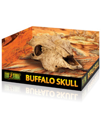 Picture of Exo Terra Buffalo Skull 