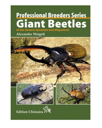 Picture of Chimaira Giant Beetles 