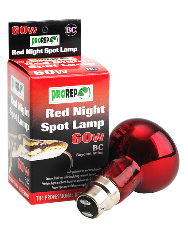 60 watt deals red light bulb